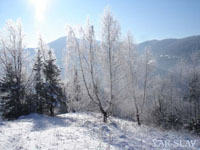 Славське Карпати зима