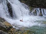 Купання в Кам'янецькому водоспаді